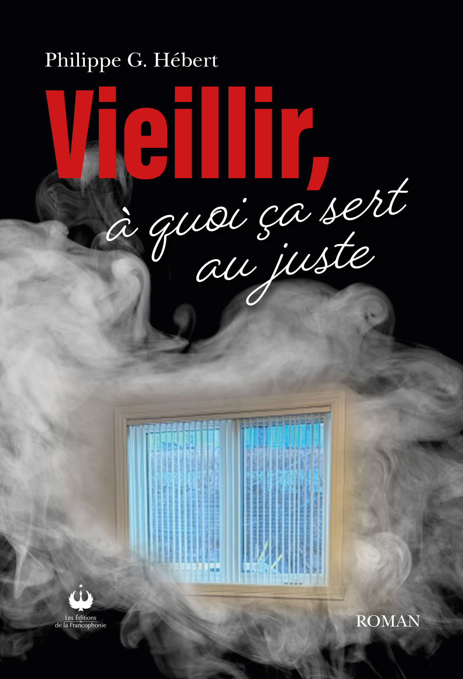 Vieillir, à quoi ça sert au juste (ePUB)